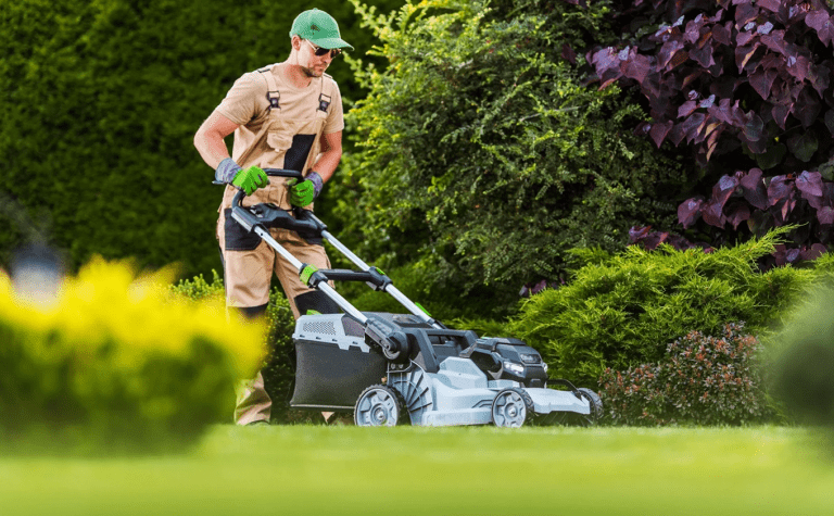 Best ways to light upyour garden walkways