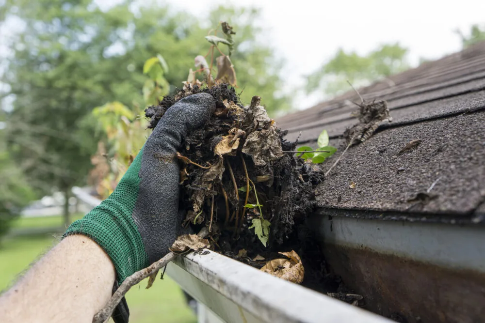 Gutter Cleaning Expert in austin