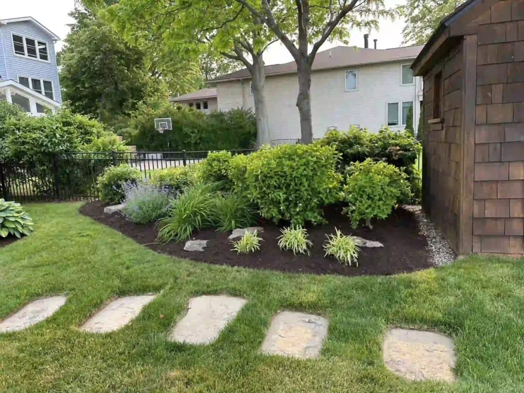 Landscaping Austin texas