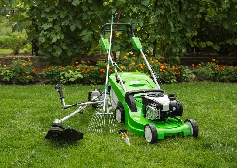 Lawn Care Guide in austin